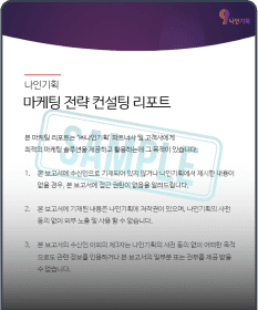 현황 분석 리포트 샘플 이미지