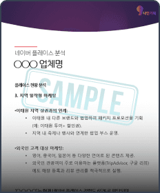 심층전략분석 리포트 샘플 이미지