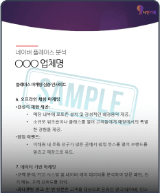 마케팅 전략 제시 리포트 샘플 이미지